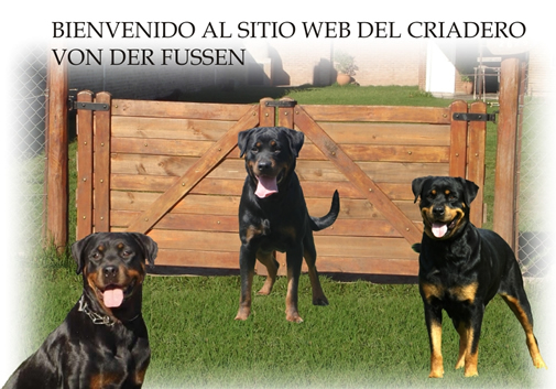 Bienvenido al sitio web del Criadero Von Der Fussen