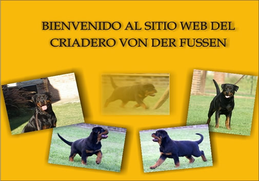 Bienvenido al sitio web del Criadero Von Der Fussen