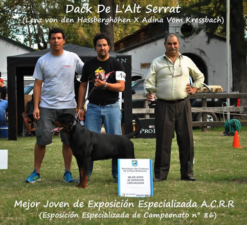 Bienvenido al sitio web del Criadero Von Der Fussen